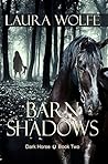 Barn Shadows by Laura    Wolfe