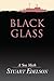 Black Glass by Stuart Edelson