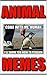 Memes: Funny Animal Memes 2017: (Funny Memes, Jokes, Cats, Dogs, Camels Etc)