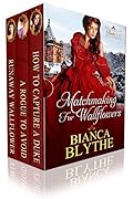 Matchmaking for Wallflowers Boxed Set