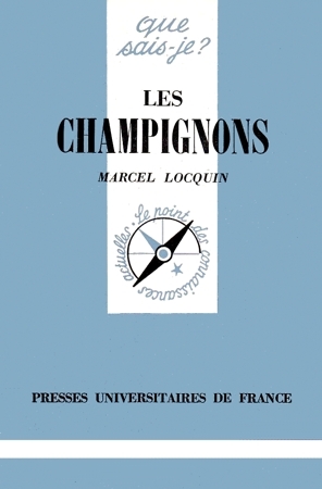 Les champignons