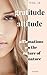 15-Page Greeting Card: Gratitude Attitude: Affirmations on the Elements of Nature: Powerful Affirmations Of Giving Thanks To Nature On Stunning Backgrounds (Greetitude eCard Series Book 2)