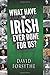 What Have The Irish Ever Done For Us?
