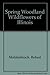 Spring Woodland Wildflowers of Illinois