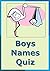 BOYS NAMES QUIZ for Baby Sh...