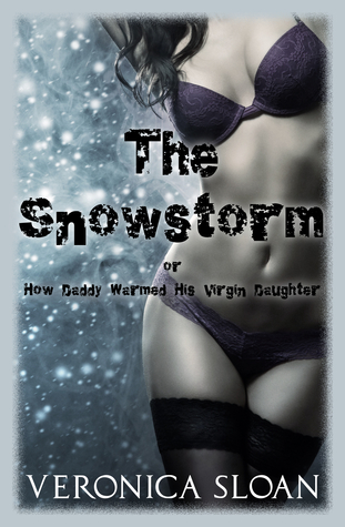 The Snowstorm (ebook)