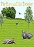 The Hare and the Tortoise