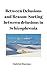Between Delusions and Reason: Sorting between Delusions in Schizophrenia
