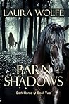 Barn Shadows by Laura    Wolfe