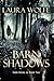 Barn Shadows by Laura Wolfe Barn Shadows by Laura Wolfe