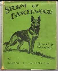 Storm of Dancerwood (Hardcover)