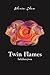 Twin Flames: Belahan Jiwa