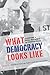 What Democracy Looks Like by Christina R. Foust