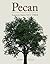 Pecan by Lenny Wells