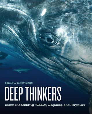 Deep Thinkers: Inside the Minds of Whales, Dolphins, and Porpoises (Hardcover)