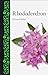 Rhododendron