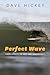 Perfect Wave: More Essays on Art and Democracy