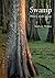 Swamp: Nature and Culture