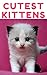 Very Cutest Kittens: 1500+ Picture Cutest Kittens Cats Photobook for Kids (BABY KITTENS Cats Dogs Cute Fluffy Animals For Children ,Cat Memes,cat photobook ... bybee,Cat School,Cutest Kitt 2)