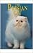 The Persian Cat (Learning About Cats)
