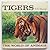 Tigers (World of Animals)