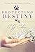 Protecting Destiny by C.J. Corbin
