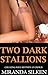 TWO DARK STALLIONS: cheating wife hotwife cuckold