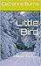 Little Bird: A Winter Romance
