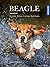 Beagle: Geschichte, Haltung, Erziehung, Beschäftigung (German Edition)