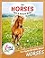 The Horse Fact and Picture Book: Fun Facts for Kids About Horses (Turn and Learn)