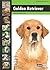 Golden Retriever by Various