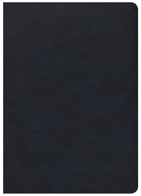 CSB She Reads Truth Bible