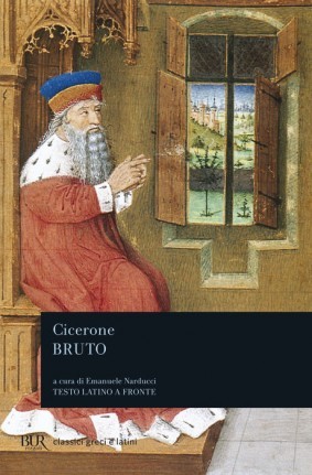 Bruto (Paperback)