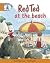 Red Ted at the Beach