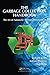 The Garbage Collection Handbook: The Art of Automatic Memory Management (Applied Algorithms and Data Structures)