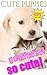 PUPPIES BEING CUTE: ADORABLE BABY DOGS (BABY FLUFFY PUPPIES Book 8)