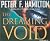The Dreaming Void (Void, #1)