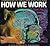 How We Work: Understanding the Human Body and Mind