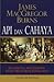 API DAN CAHAYA: BAGAIMANA PENCERAHAN TELAH MENGUBAH DUNIA KITA