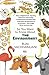 So You Want to Know About the Environment by Bijal Vachharajani