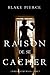 Raison de se Cacher (Avery Black #3)