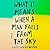 What It Means When a Man Falls from the Sky