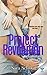 Project Revolution (R is for Rebellion Book 2)