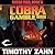Cobra Gamble (Cobra War, #3)