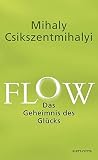Flow: Das Geheimn...
