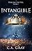 Intangible (Piercing the Veil #1)