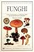 Funghi