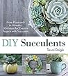DIY Succulents by Tawni Daigle