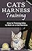 Cat Harness Training: How to Training Kitty to Walk on a Cat Harness