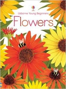 Flowers (Usborne Young Beginners)